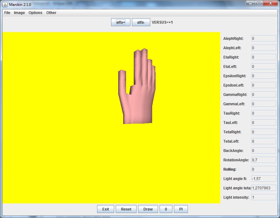 Manikin virtual hand model